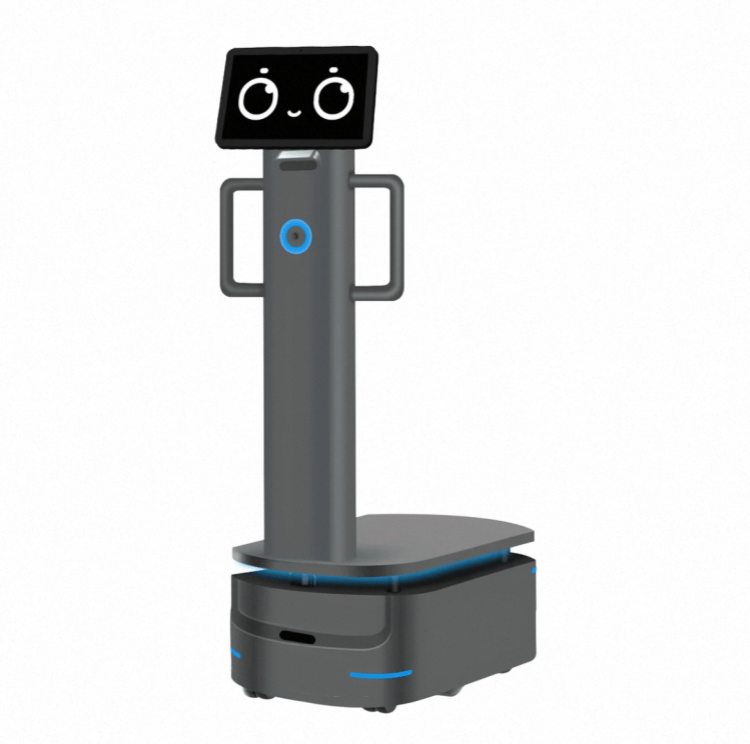 Robot s velkým nákladem pro průmyslové dodávky