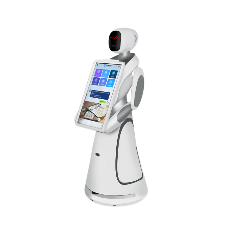 Interaktivní servisní robot