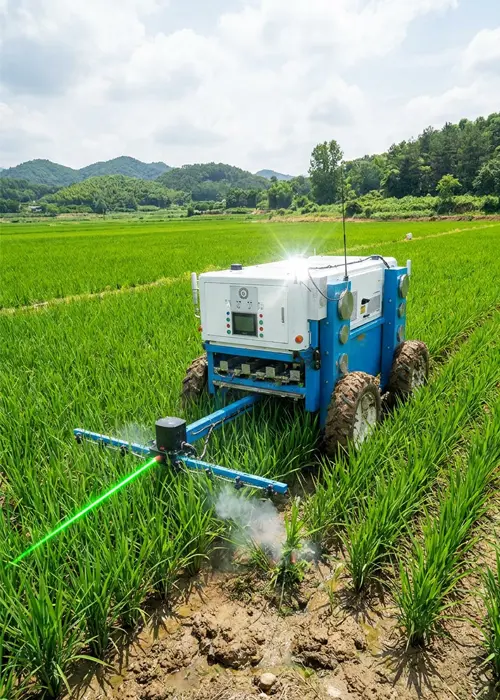 Precision Weed Control